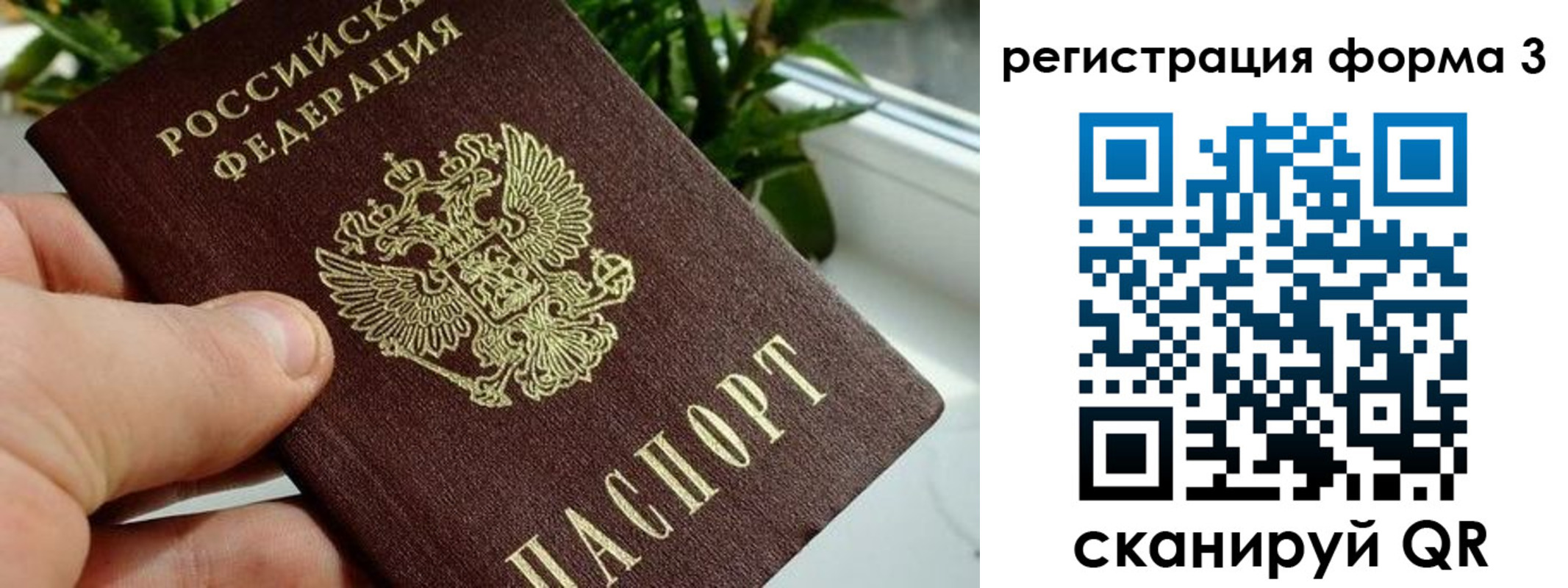 прописка штамп в Карпинске